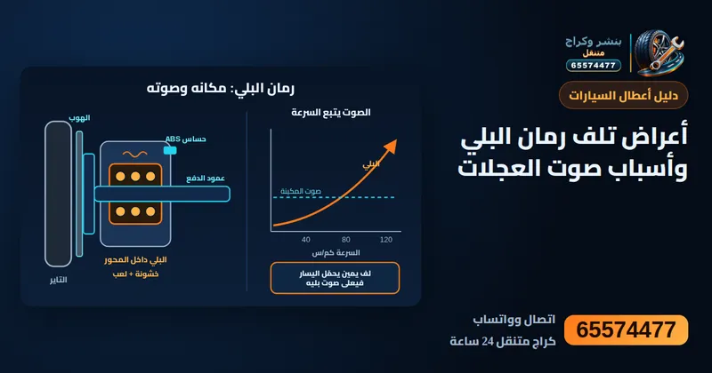 رسم توضيحي: أعراض تلف رمان البلي وأسباب صوت العجلات