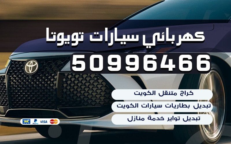 كهربائي سيارات